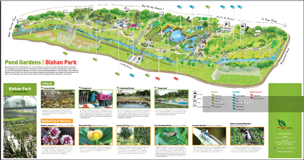 Sin Ming Avenue thumbnail photo